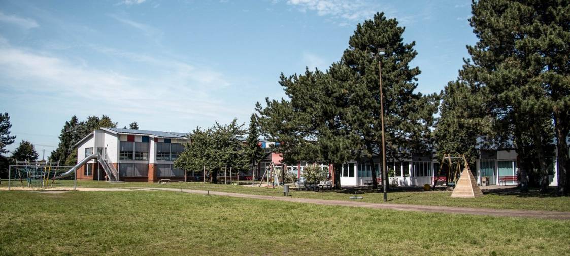 Mäusebefall bleibt weiter Problem an Waltroper Schule