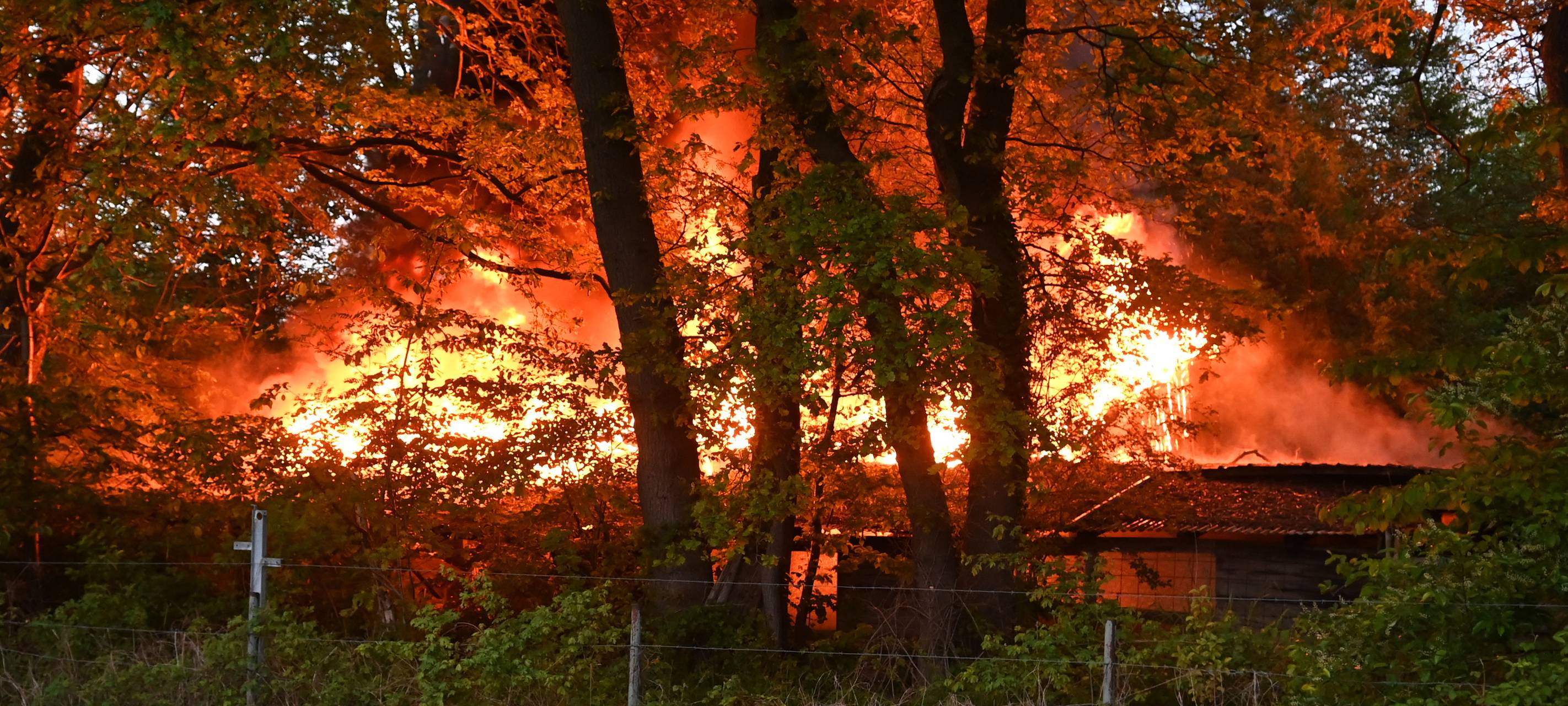 Feuer in Dorstener Waldstück