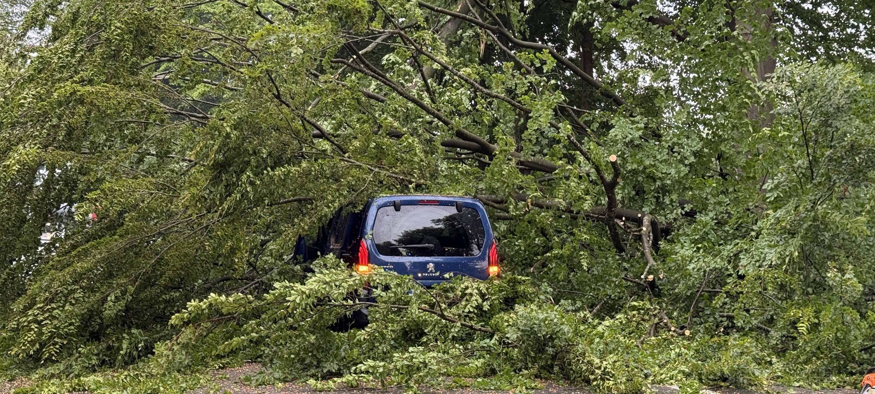 Baum kracht auf fahrendes Auto in Haltern