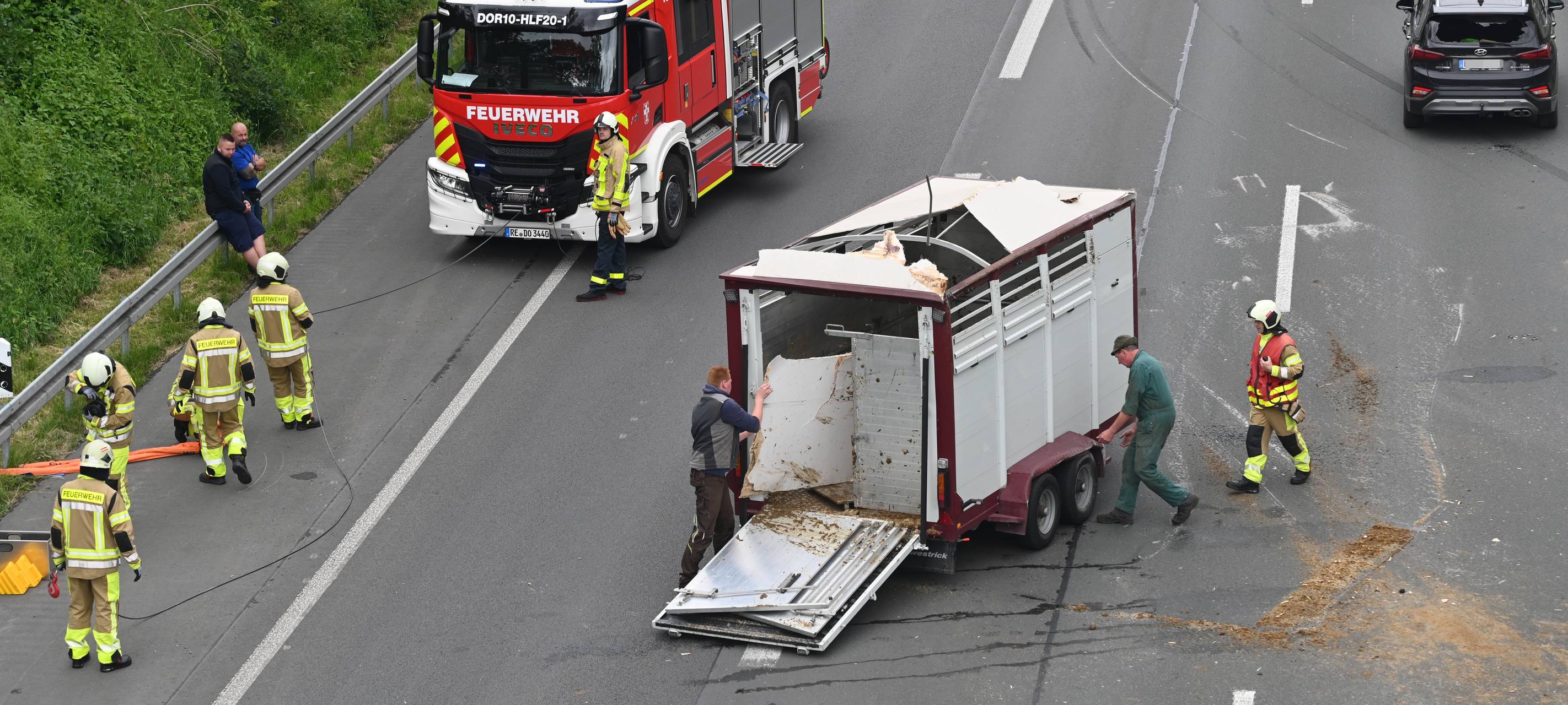 Unfall auf A31 bei Dorsten: Rinder laufen auf Autobahn