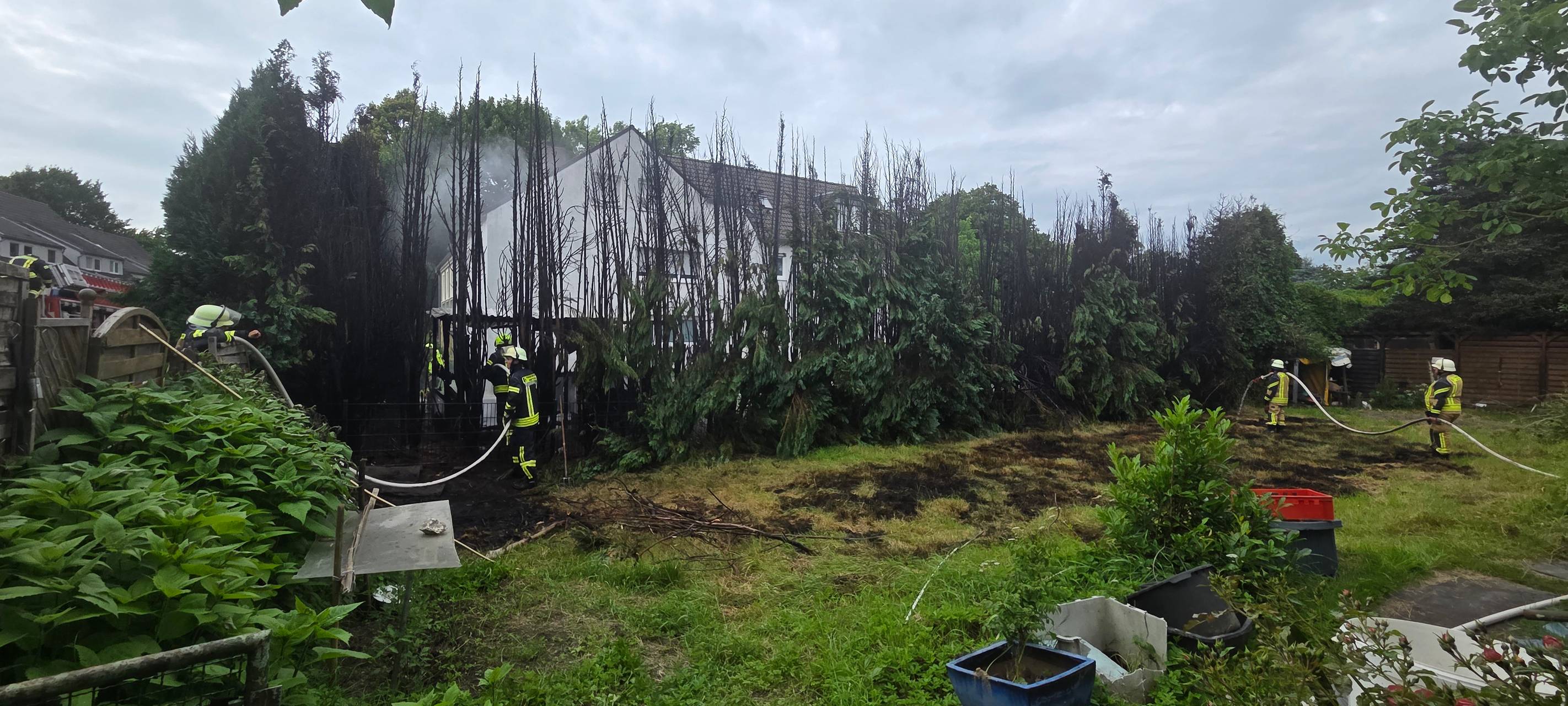 Die fünf Meter hohe Hecke in Datteln brannte durch das Feuer zum Großteil herunter.