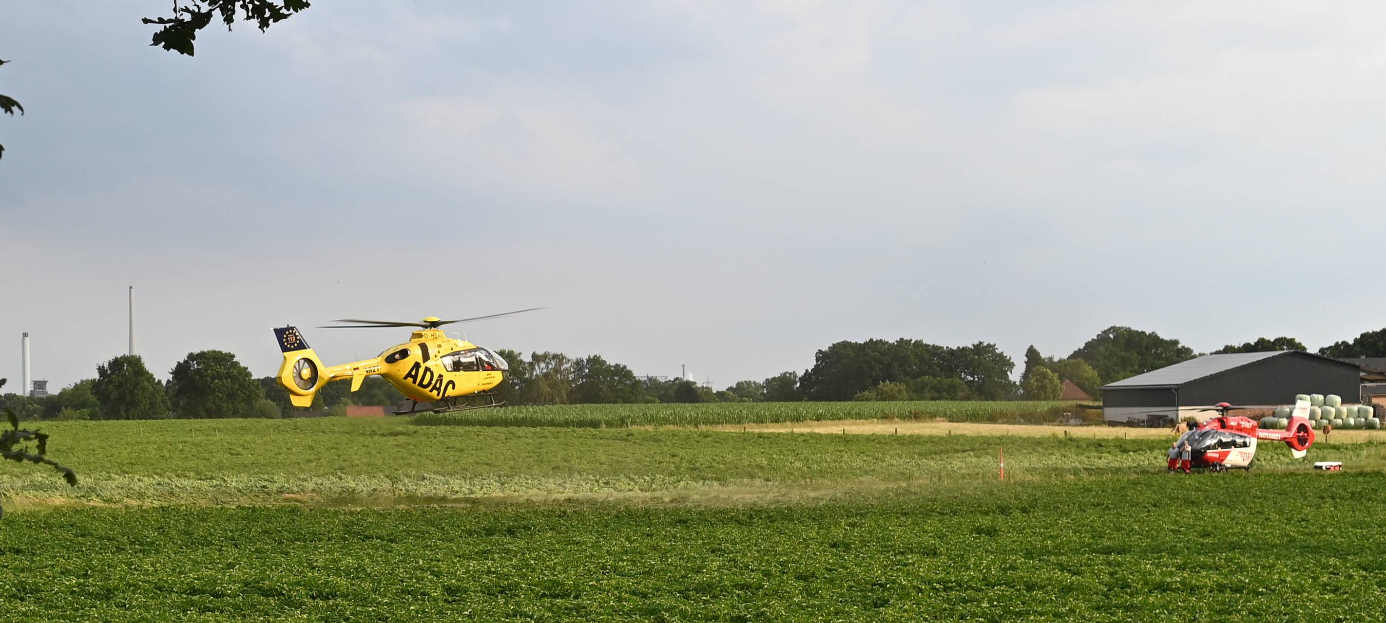 Gleich zwei Rettungshubschrauber landeten nach dem schweren Unfall auf der B58 in Haltern auf einem angrenzenden Feld.