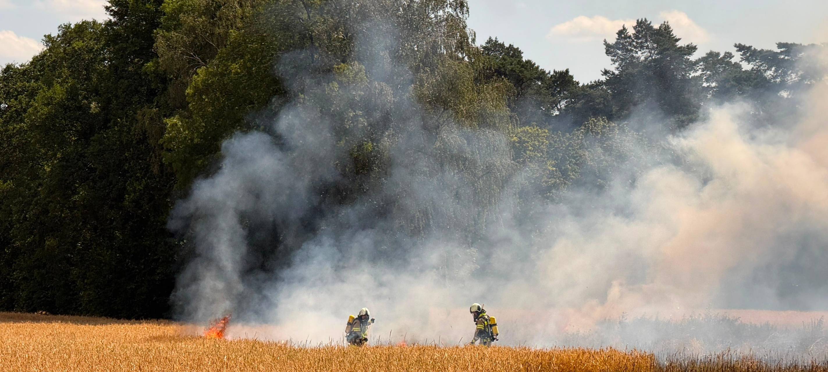 Flächenbrand in Dorsten-Wulfen: 50 Kräfte im Einsatz